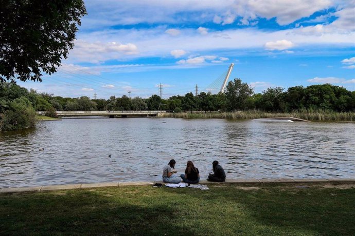 Archivo - Parque del Alamillo en Sevilla.