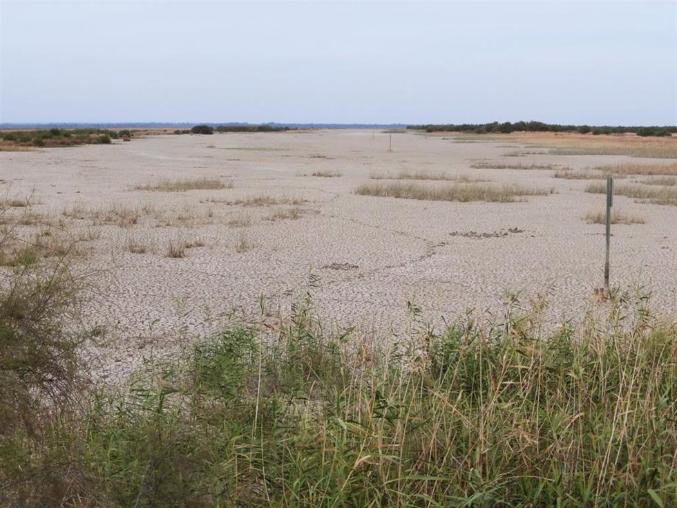 Archivo - Imagen de Doñana.