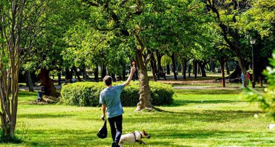 Medio Ambiente