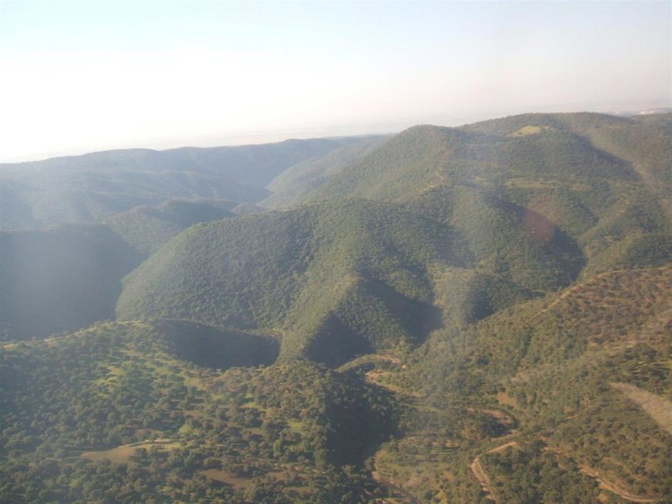 Archivo - Imagen de archivo de la Sierra Morena de Córdoba. 