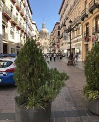 Policía Nacional y Local detienen en Zaragoza a ocho personas por hurtar móviles el primer fin de semana de las fiestas