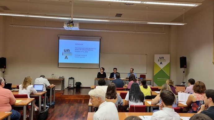 Celebración del encuentro.