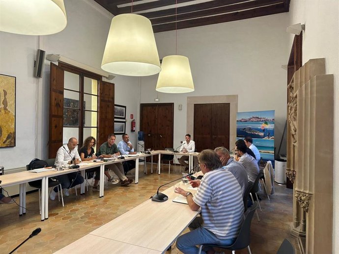 Comisión de coordinación entre los consejos insulares y la Dirección General de Deportes de Baleares.