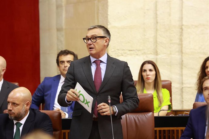 Archivo - El portavoz del Grupo Vox Andalucía, Manuel Gavira, en una imagen de archivo en el Pleno del Parlamento.