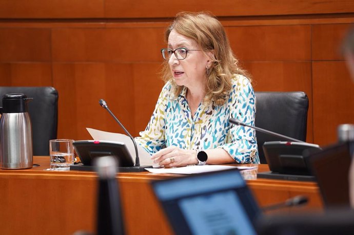 La directora general de Administración Electrónica y Aplicaciones Corporativas del Gobierno de Aragón, María Ángeles Rincón.