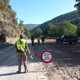 Control micológico en La Rioja por agentes forestales
