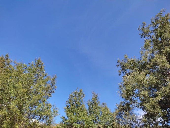 Archivo - Cielo despejado 
