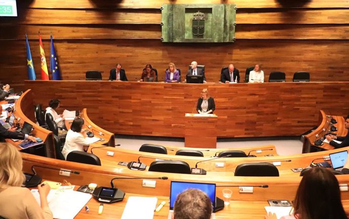 Covadonga Tomé, en su intervención en el pleno de la JGPA