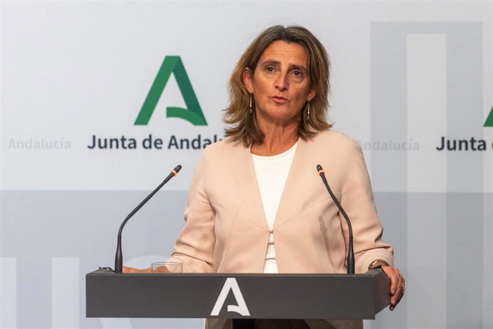 La vicepresidenta tercera del Gobierno y ministra para la Transición Ecológica y el Reto Demográfico en funciones, Teresa Ribera, en rueda de prensa en el Palacio de San Telmo. (Foto de archivo).