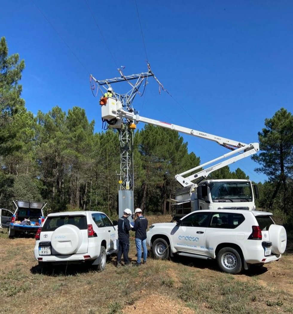 Trabajos en la red de Endesa.