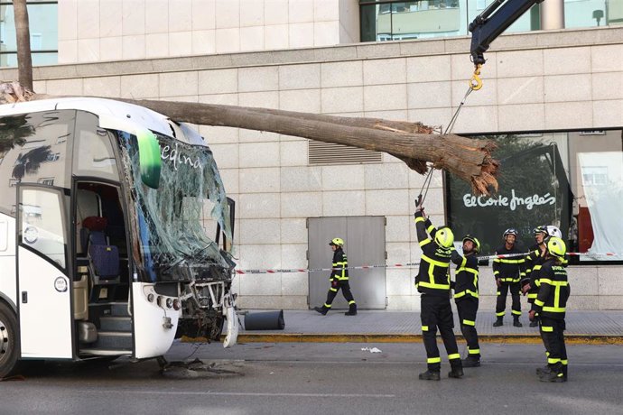 Los bomberos tratan de quitar un árbol caído sobre el autobús que perdió el control a la entrada de Cádiz causando tres fallecidos y dos heridos, a 09 de octubre del 2023 en Cádiz (Andalucía, España). 