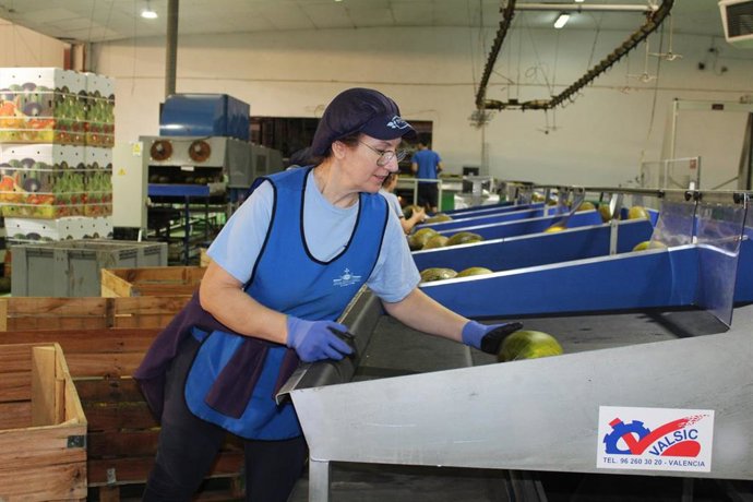 Campaña del melón.