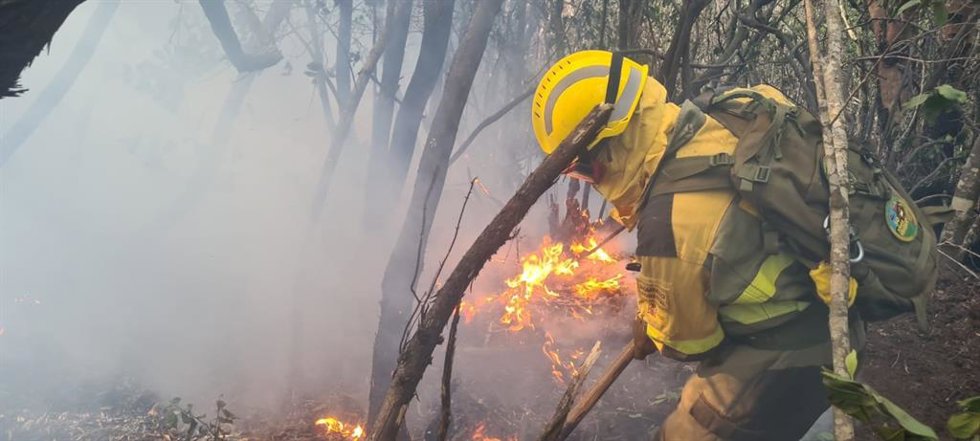 Bomberos de la BRIF de Puntagorda trabajan para sofocar las reactivaciones del incendio de Tenerife