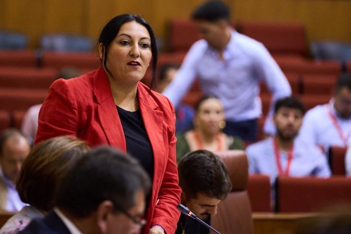 La secretaria de Acción Institucional de Podemos Andalucía, Alejandra Durán.