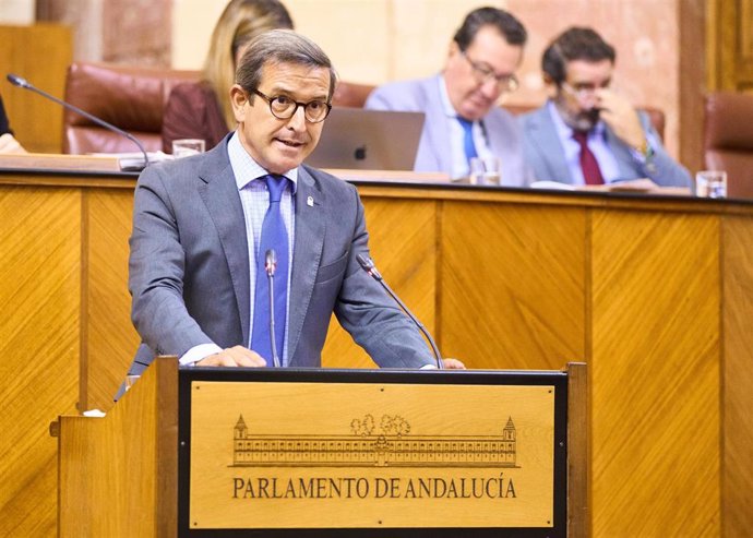 El consejero de Industria, Jorge Paradela, este martes durante su comparecencia en el Pleno del Parlamento.