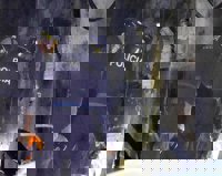 Cuatro personas fallecidas, tres de ellas menores, en un incendio en un edificio de Vigo