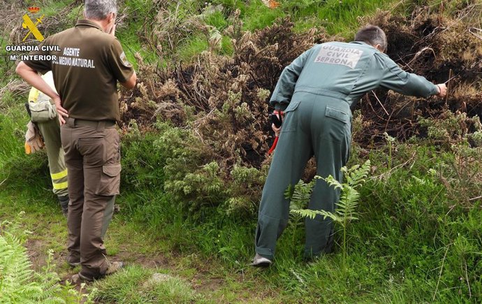 Guardia Civil y agentes del Medio Natural investigan los incendios forestales