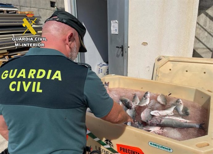 Un agente de la Guardia Civil, con las lubinas intervenidas