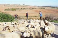 Casi el 30% de las demandas reales de la España rural no generaron ninguna actividad parlamentaria, según Cotec