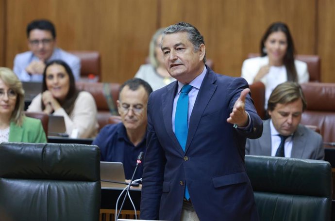 El consejero de la Presidencia, Interior, Diálogo Social y Simplificación Administrativa de Andalucía, Antonio Sanz, durante su intervención en el pleno del Parlamento andaluz.
