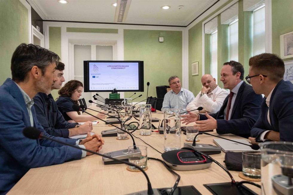 La Junta expone su proyecto de recuperación del lince ibérico a una delegación de diputados británicos