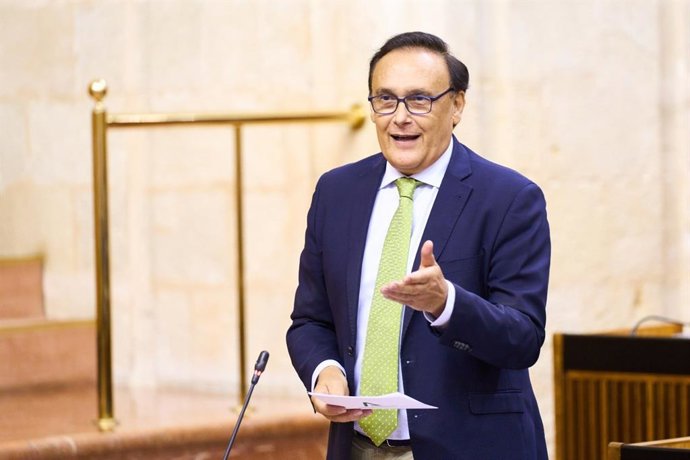 El consejero de Universidad, Investigación e Innovación, José Carlos Gómez Villamandos, en el Parlamento andaluz.