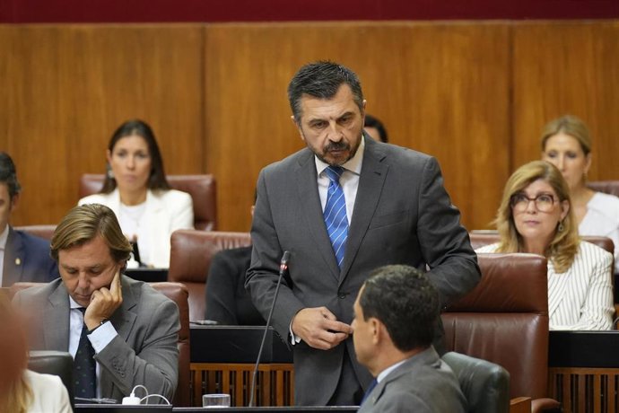 El portavoz del Grupo Parlamentario Popular, Toni Martín, este miércoles durante su pregunta al presidente de la Junta de Andalucía, Juanma Moreno.