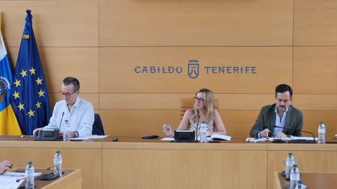 La presidenta del Cabildo de Tenerife, Rosa Dávila, preside la reunión del Consejo de Gobierno