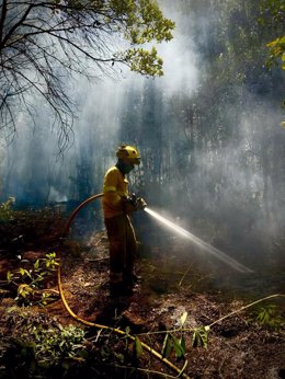 Un miembro de la Brifor participa en las labores de extinción del incendio forestal que afecta a la isla de Tenerife desde el pasado 15 de agosto