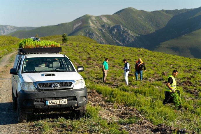 Trabajos de reforestación del monte