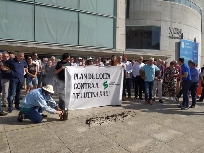 Miembros del Sindacto Labrego Galego y otros manifestantes, concentrados frente a la Delegación Territorial de la Xunta en Lugo para exigir un plan de acción contra la avispa velutina, a 11 de octubre de 2023, en Lugo (Galicia)