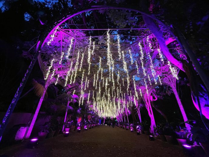 Archivo - Imagen de archivo del espectáculo de luces en el Jardín Botánico de la Concepción en Málaga