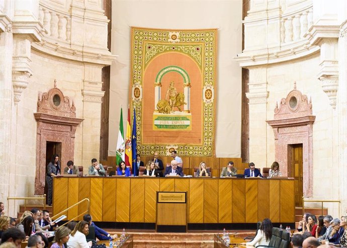 Sesión del Pleno del Parlamento andaluz. (Foto de archivo).