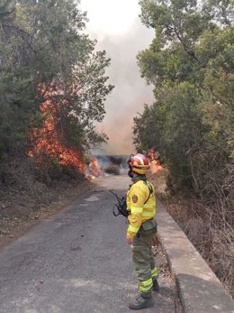 Trabajos de estinción en el incendio de Tenerife