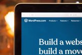 Foto: WordPress integra el complemento ActivityPub en todas sus versiones