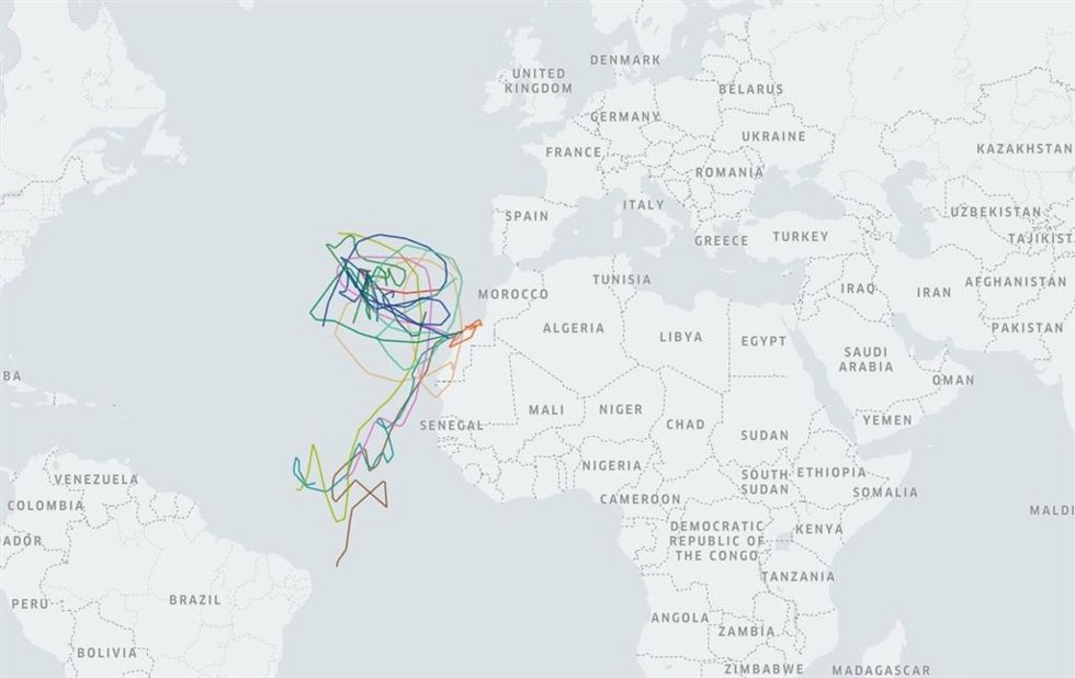 Mapa de los viajes y movimientos del petrel de Bulwer