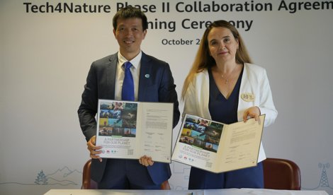 Comunicados Internacional