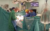 Foto: El Hospital La Fe realiza de forma simultánea tres trasplantes bipulmonares por primera vez en España