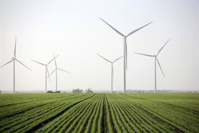Archivo - Molinos de energía eólica.