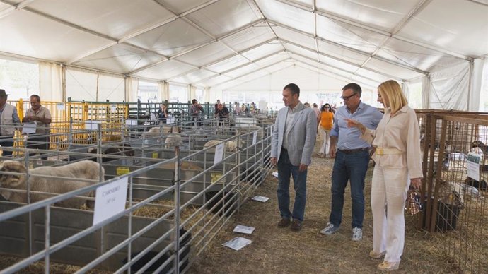 Manuel Gavira (c.), este viernes