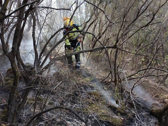 Efectivos de la EIRIF del Gobierno de Canarias durante las labores de extinción del incendio forestal de Tenerife
