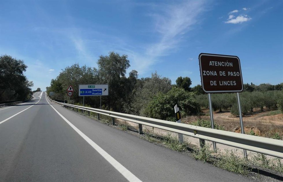 Archivo - Señal de alerta de paso de linces en una carretera de Huelva.