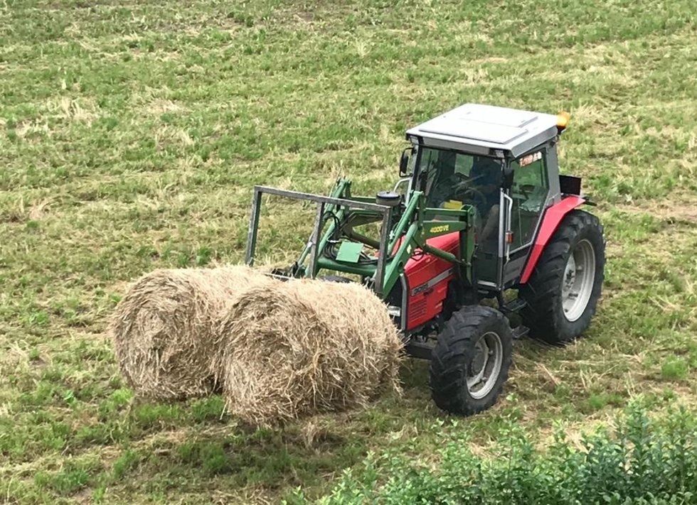 Archivo - Tractor, labores agrícolas, campo