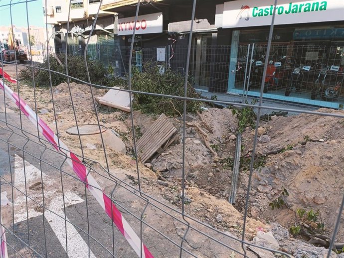 Apeo de naranjos en la Carretera Carmona de Sevilla.