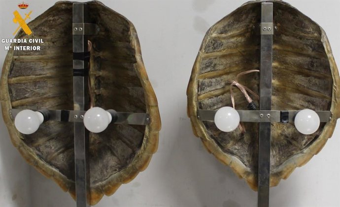 Imagen de los caparazones, convertidos en lámparas.