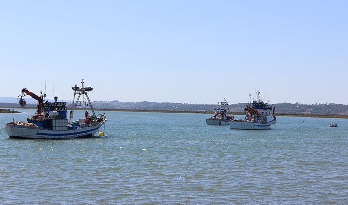 Archivo - Imagen de archivo de barcos pesqueros andaluces.