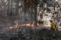 Intervención de equipos BRIFOR en el incendio forestal que afecta a la isla de Tenerife desde el pasado 15 de agosto