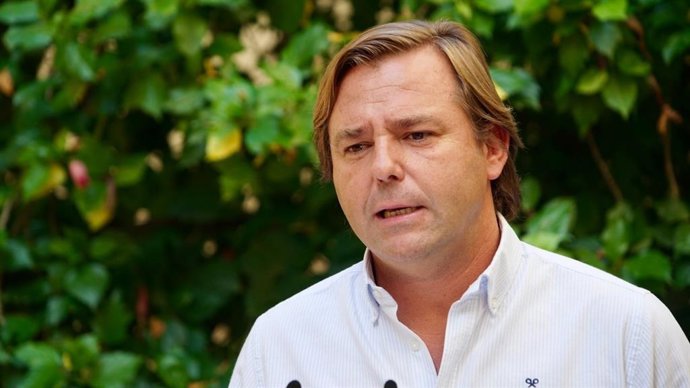 El secretario general del PP de Andalucía, Antonio Repullo