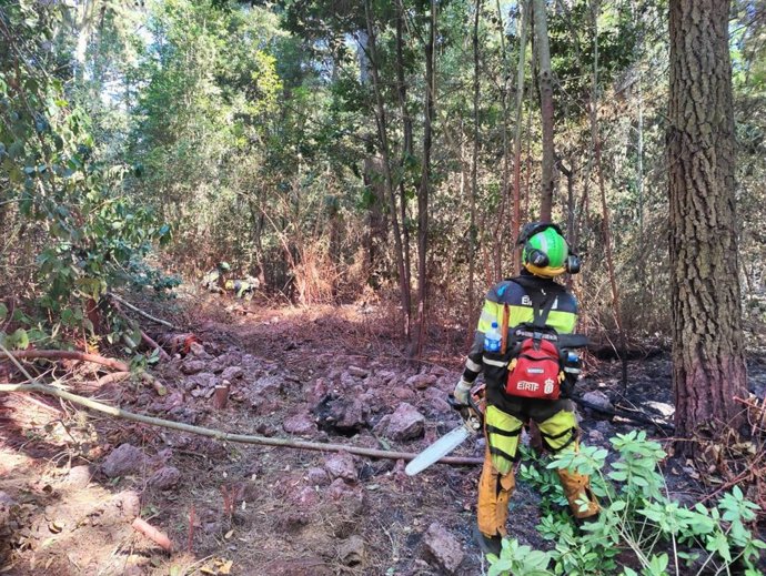 Equipos de la EIRIF participan en las labores de extinción del incendio forestal que afecta a la isla de Tenerife desde el pasado 15 de agosto
