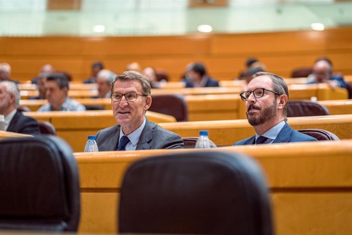 Archivo - (ARCHIVO) El presidente del PP, Alberto Núñez Feijóo (i) y el portavoz del Partido Popular en el Senado, Javier Maroto (d), durante una sesión plenaria en el Senado, a 19 de abril de 2023, en Madrid (España). 